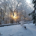 Spring? Is that you?