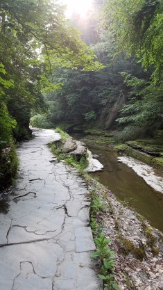 path
