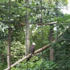 Pennsylvania, Ohio and Home