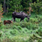 Rocky Mountain National Park