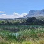 Making Our Way Back Home